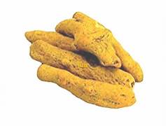 Haldi Ghat(Whole turmeric peice)