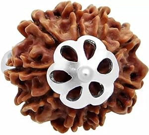 9-mukhi rudraksha