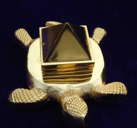 Pyramid Tortoise
